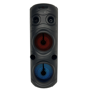 Meilleure Vente Karaoké Double Haut-parleur 8 Pouces 20W Micro Filaire Enregistrement Écho Utilisation Extérieure Fête Éclairage LED RGB Prise en Charge Carte Mémoire - Product Image 1