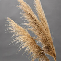 Herbe de la Pampa Naturelle Décorative – Série Très Demandée – Fleurs Séchées en Sac Plastique – Décoration du Nouvel An Chinois et de Pâques