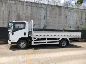 Camion léger moyen Isuzu 700p, cabine simple, camion à plateau, camion de transport, camion d'occasion/neuf, prix d'usine bas, camion à vendre - Product Image 2