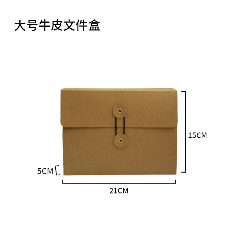 Grande boîte à dossiers