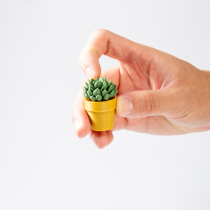 Mới Đến Sáng Tạo Mọng Nước Cây 3D In Fidget Đồ Chơi Nhanh Chóng Tạo Mẫu Kid Đồ Chơi - Product Image 3