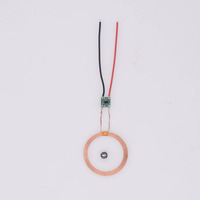 Módulo de Luces LED de Inducción Inalámbrica Taidacent, Bobina Transmisora de Energía Inalámbrica, Lámpara Lunar Levitante, Bobina Inductiva de 5V y 70mm de Largo