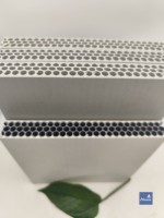 Coffrage en plastique PP pour plateforme de support préfabriquée, infrastructure modulaire, coffrage en béton