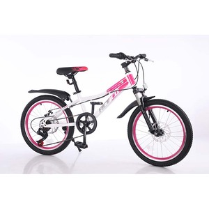 Vélo de montagne personnalisé de 20 pouces avec 21 vitesses, système de frein à disque, matériau en acier au carbone, vente en gros - Product Image 3