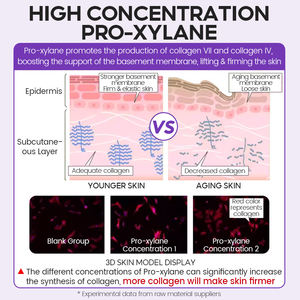 Serum Wajah Anti-Penuaan Anti-Kerut Triple Retinol + Xylane Ampoule 2ml*15pcs Kolagen Organik Pemutih Pencerah Pasokan OEM - Product Image 4