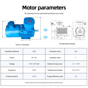 TECO TEBY 0.75KW-355KW trifase asincrono AC a prova di esplosione del motore elettrico 400V 50Hz piede Mount IE3 efficienza AFBYX1 - Product Image 3
