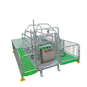 Gabbia di gestazione in acciaio zincato con pavimento in ghisa, nuova condizione, per allevamento suini, letto per scrofe, uso agricolo - Product Image 3