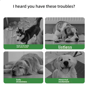 Modern Büyük 6 İnç Çevre Dostu Köpek Futbol Topu Oyuncağı Evcil Hayvan Etkileşimli Egzersiz Eğlencesi Askılı - Product Image 6