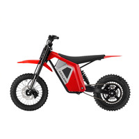 Moto électrique tout-terrain haute performance ANYLAND, moto électrique ultra puissante, moto tout-terrain pour adultes, moto électrique enduro Wish01S IN10 EM5