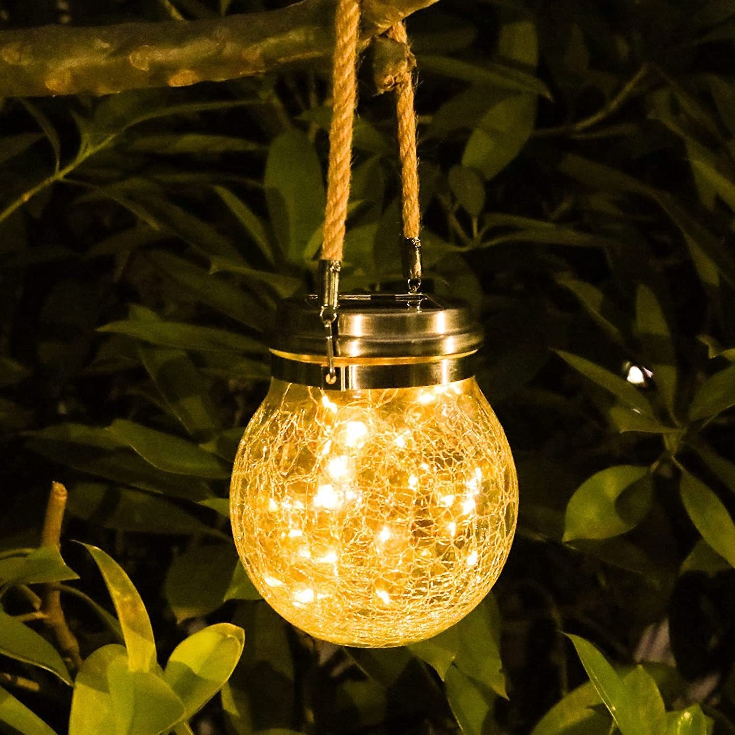 Hanging warm light - 30 lamps