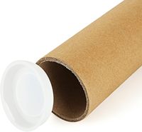 Tubos de Cartón para Envíos con Tapas, para Guardar Pósters, Planos, Obras de Arte y Documentos, Empaquetados en Cartón