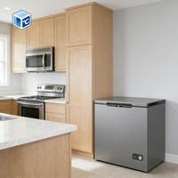 OEM ODM Chest Freezer A++ Hemat Energi Defrost Drain Keranjang Dapat Dilepas 270ml 320ml Chest Freezer Untuk Rumah Hemat Energi