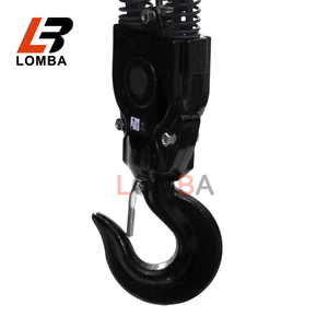 Limit Switch Electric <span class=keywords><strong>Hoist</strong></span> dengan Pengunci Pengaman Desain Tertutup Sepenuhnya untuk Pengangkatan di Gudang - Product Image 4