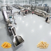Línea de Producción de Papas Fritas a Medida para Fábricas Medianas, Capacidad Personalizada, Producción de 700 kg/h, Planta Totalmente Automática