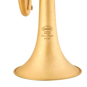 Wholesale Pro Plus Heavy B-Flat Trumpet In Brushed Gold Band Playing Brass Instrument With EB Tone Lacquer Surface