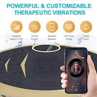 Plaque vibrante de fitness innovante OEM avec fonctions de massage et de vibration, machine d'exercice