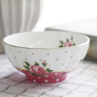 Ensemble de vaisselle créative en porcelaine osseuse britannique 5 pièces, bol de petit déjeuner, assiette et tasse avec motif végétal
