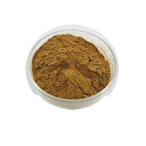 Damiana Extract Powder for Men Health Damiana Leaf Extract Damiana Powder - Product Image 2
