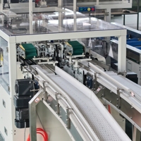 Machine d'emballage automatique de sachets de nouilles instantanées 24 sachets/carton, entraînement servo 16 sachets/min, qualité alimentaire, Ethernet, Industrie 4.0