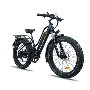 Senada V8EbikeファットタイヤLCDディスプレイ48V500/1000Wマウンテン電動自転車電動ファットバイク7スピード