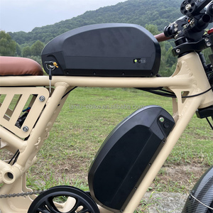 Vélo électrique populaire 2026, vélo à pneus gras, batterie au lithium 1200w, pneus gras de 20*4 pouces, vélo électrique pour la chasse et <span class=keywords><strong>les</strong></span> hommes grands - Product Image 6