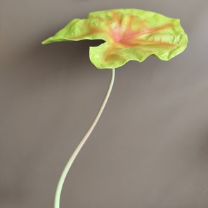 Hoja <span class=keywords><strong>de</strong></span> Caladium Tropical Artificial, Planta <span class=keywords><strong>de</strong></span> <span class=keywords><strong>Colocasia</strong></span> Artificial Realista, Ramo <span class=keywords><strong>de</strong></span> Hojas Verdes para Decoración <span class=keywords><strong>de</strong></span> Interiores, Arreglo <span class=keywords><strong>de</strong></span> Jarrones para Sala <span class=keywords><strong>de</strong></span> Estar - Product Image 1