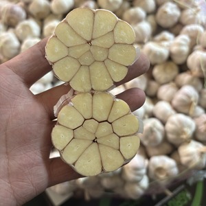 Ajo Blanco Fresco de Primera Calidad, Grado A, Sabor <span class=keywords><strong>Picante</strong></span> Intenso, Alto Rendimiento, Secado al Aire, Jinxiang, Shandong, China, Venta al Por Mayor - Product Image 5