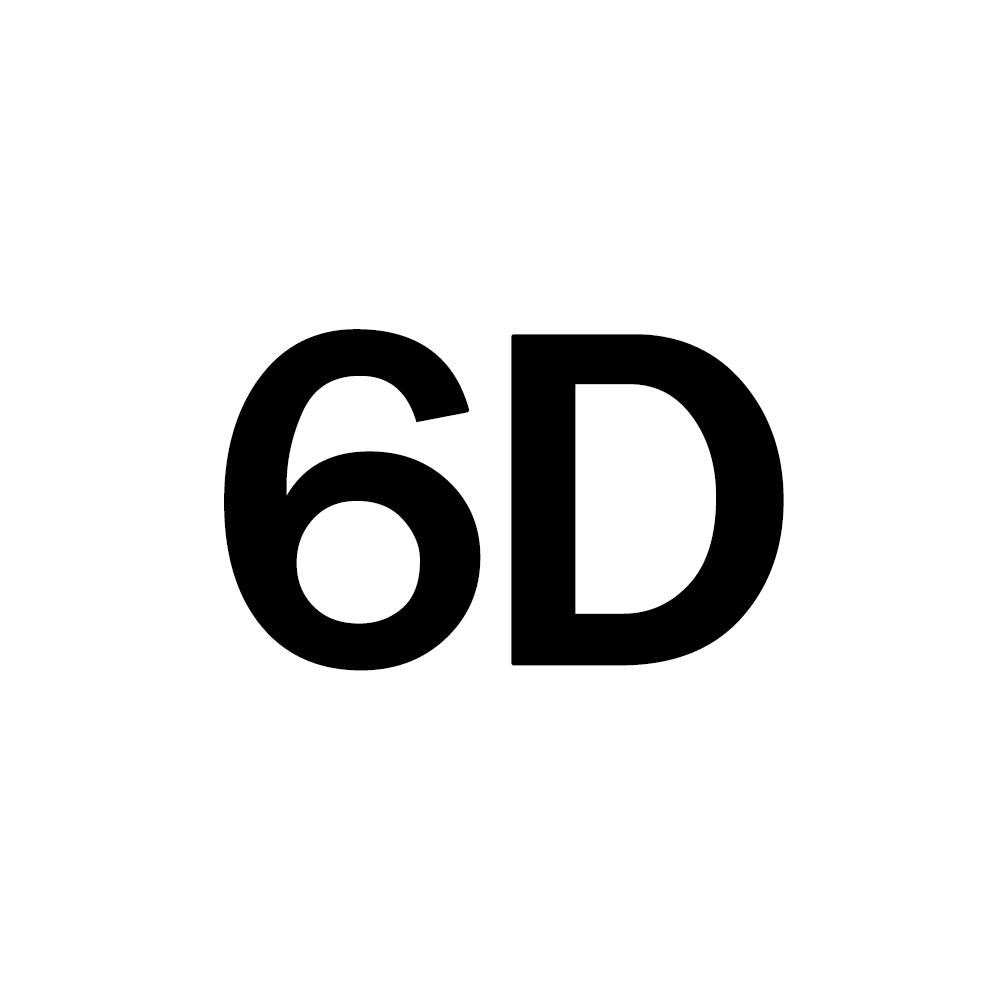 6D