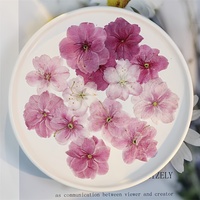 Fleurs de cerisier japonaises séchées de qualité supérieure, qualité alimentaire, pour la décoration de pâtisserie et les confettis de mariage, stock en vrac
