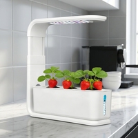 Système de culture hydroponique intelligent pour herbes aromatiques, pot de fleurs auto-arrosant, système hydroponique, jardin d'intérieur intelligent