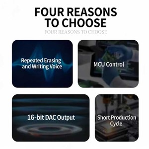 NVF04M Voice Playback Chip OEM Factory Repeatedly Burning Music Playback Chip - Product Image 3