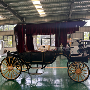 Carruajes de caballos para turismo al aire libre, ideales para recorridos turísticos, carruajes de caballos eléctricos para turismo en venta. - Product Image 6