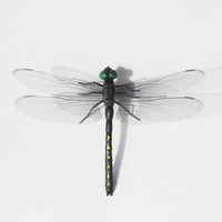 Clip de chapeau libellule 3D moderne et coloré, gadget anti-moustiques d'extérieur, libellule artificielle colorée répulsive d'insectes