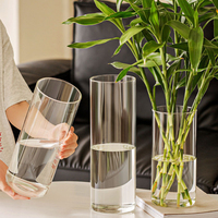 Vase en verre transparent minimaliste pour plantes hydroponiques, idéal pour le salon, la maison, le bureau ou l'hôtel – Nouveauté très prisée