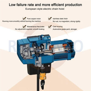 Polipasto Eléctrico de Cadena de Doble Velocidad Europeo Rayvanbo Nuevo de 125 kg 500 kg con Gancho Metálico Móvil para Hoteles - Product Image 2