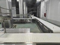 Automatische vleesverwerkingslijn, transportband voor de verwerking van rundvlees, varkensvlees en kip in een vleesverwerkingsbedrijf