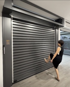 Puerta de garaje impermeable con rejilla AUTOMÁTICA DE ACERO INTELIGENTE eléctrica de lujo moderna con abridor para casas de garaje y parques - Product Image 4