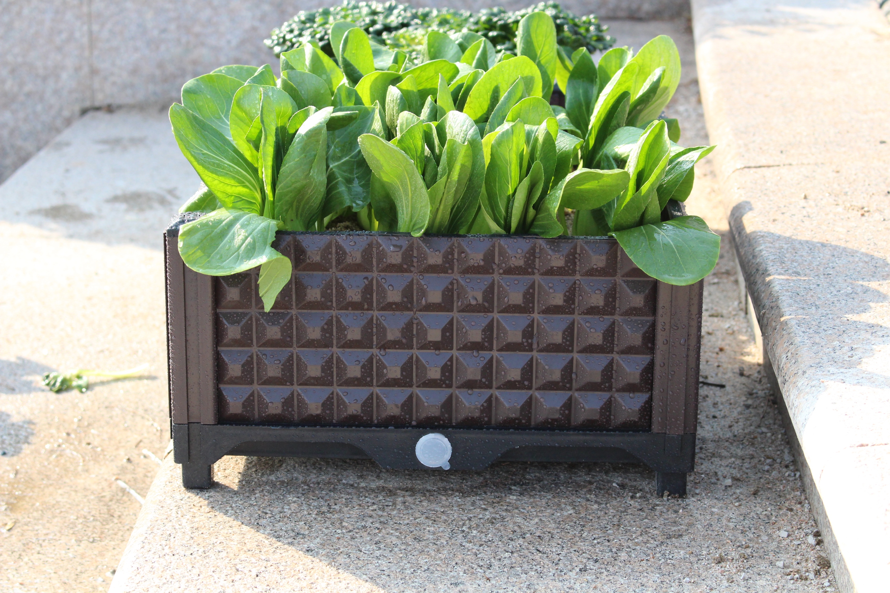 Indoor & Outdoor Plastic Vegetable & Flower Planter Box with Drainage Tray - View 3
