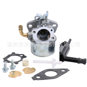 Carburateur Briggs Stratton C6-798653 pour 798653 697354 791077 790290, pièce de rechange mécanique - Product Image 4