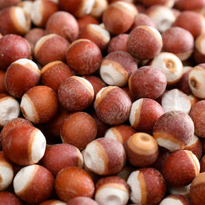 Qian Shi doğal Gorgon Euryale Semen Herb ales kurutulmuş Gorgon meyve ot baharat için - Product Image 2