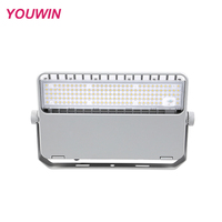 Éclairage de stade YOUWIN YWFLA-200W, 130LM/W, projecteurs LED à lentille PC, super luminosité, IP67, lumière extérieure, aluminium argenté, suspendus