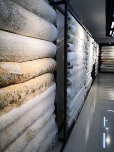 Dentelle florale colorée élégante, magnifique tissu brodé, dentelle florale, textile de créateur, mode dentelle - Product Image 6