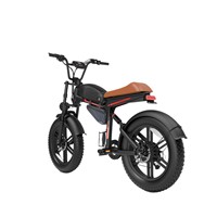 Vélo de montagne électrique 48V 500W Batterie au lithium Cadre en aluminium Freins à disque doubles Pneus larges pour la neige et le sable Unisexe Adulte
