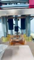 Machine de bouchonnage de bouteilles semi-automatique de type table, en plastique et métal, avec dispositif de fixation des bouteilles pour l'industrie alimentaire