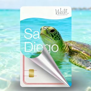 Mini Etiqueta Desechable de PVC <span class=keywords><strong>2026</strong></span>, 13.56MHz, Tarjeta de Negocios para Hotel, Interfaz de Comunicación NFC 1k, Control de Acceso a Puertas, Clásica, Impermeable - Product Image 2