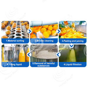 Dây chuyền sản xuất nước trái cây tự nhiên hoàn chỉnh dây chuyền sản xuất nước ép trái cây dây chuyền sản xuất máy ép trái cây - Product Image 5