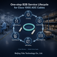 Kabel Optik Aktif Cisco QSFP-100G-AOC10M 100G QSFP28 10m Kecepatan Tinggi untuk Interkoneksi Fiber Data Center Intra-Rack