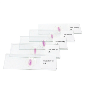 Punta del gambo lilla L.<span class=keywords><strong>S</strong></span>. Vetrini per microscopio con taglio a strappo vetrini per microscopio da laboratorio attrezzature didattiche da laboratorio - Product Image 5