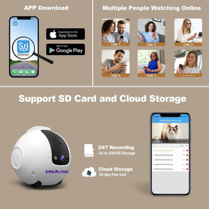 Mainan kucing interaktif cerdas canggih dengan kamera hewan peliharaan 4K Monitor Video Waktu Nyata & Bicara 2 arah grosir untuk keamanan hewan peliharaan dan Remote - Product Image 2