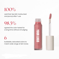 Gloss humide non collant de marque privée en gros, brillant à lèvres hydratant et enrichissant pour les lèvres sont plus pleines et hydratées